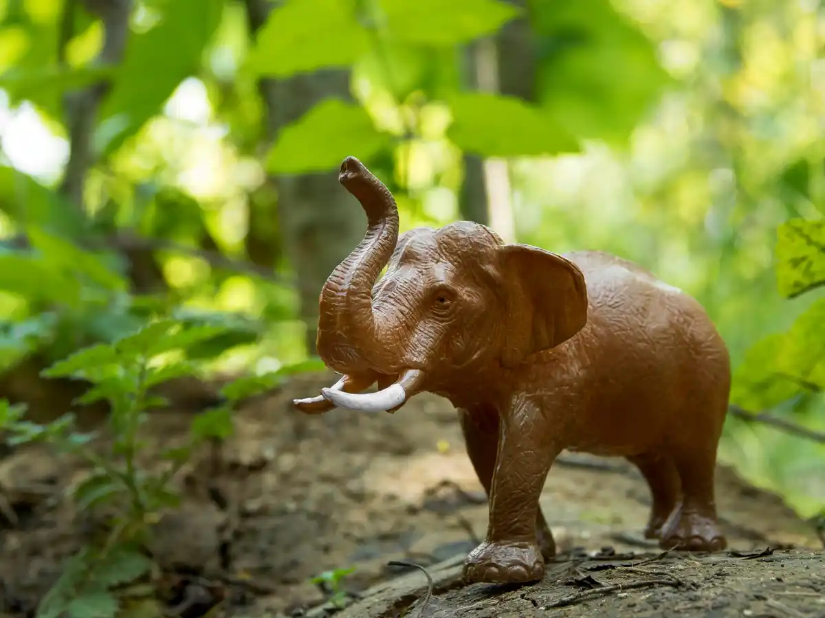 elephant intelligence social behavior netherlands