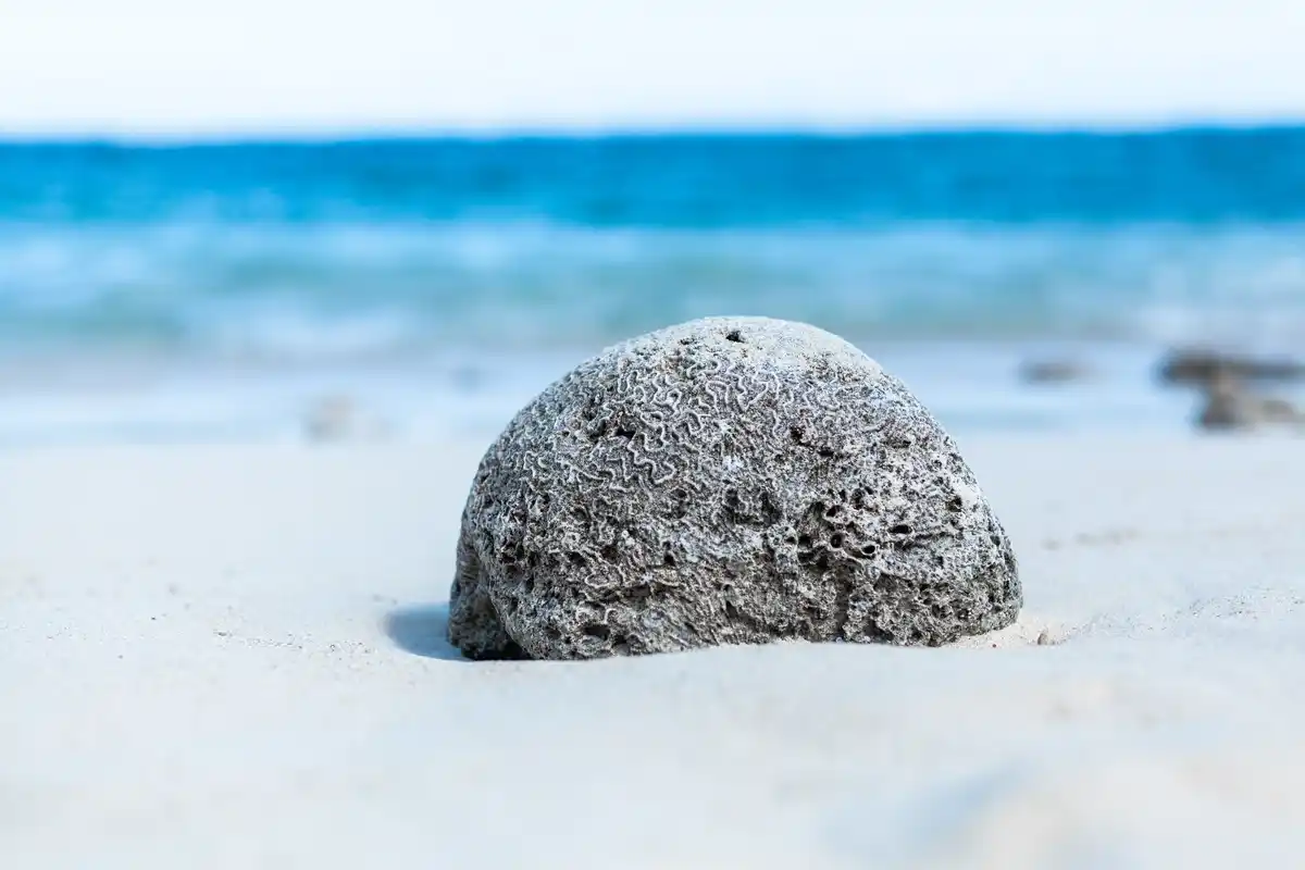 valuable gemstone found on the beach Netherlands