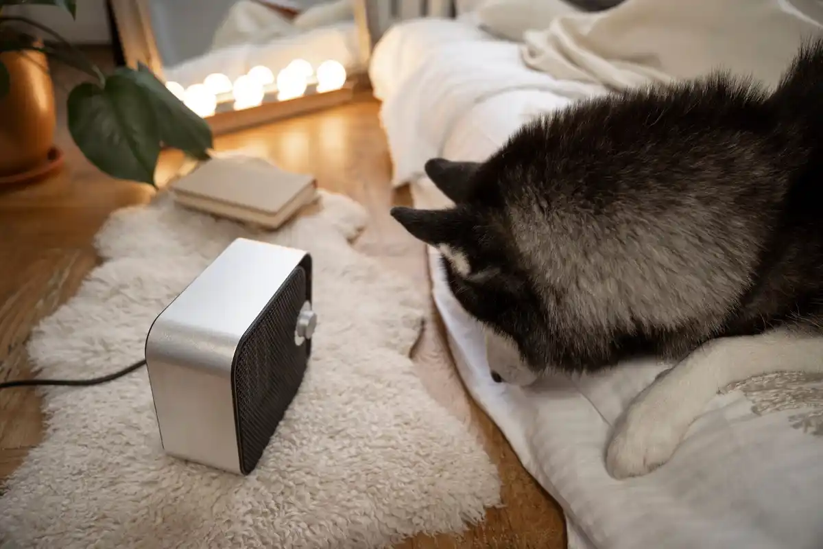 router in bedroom negative energy