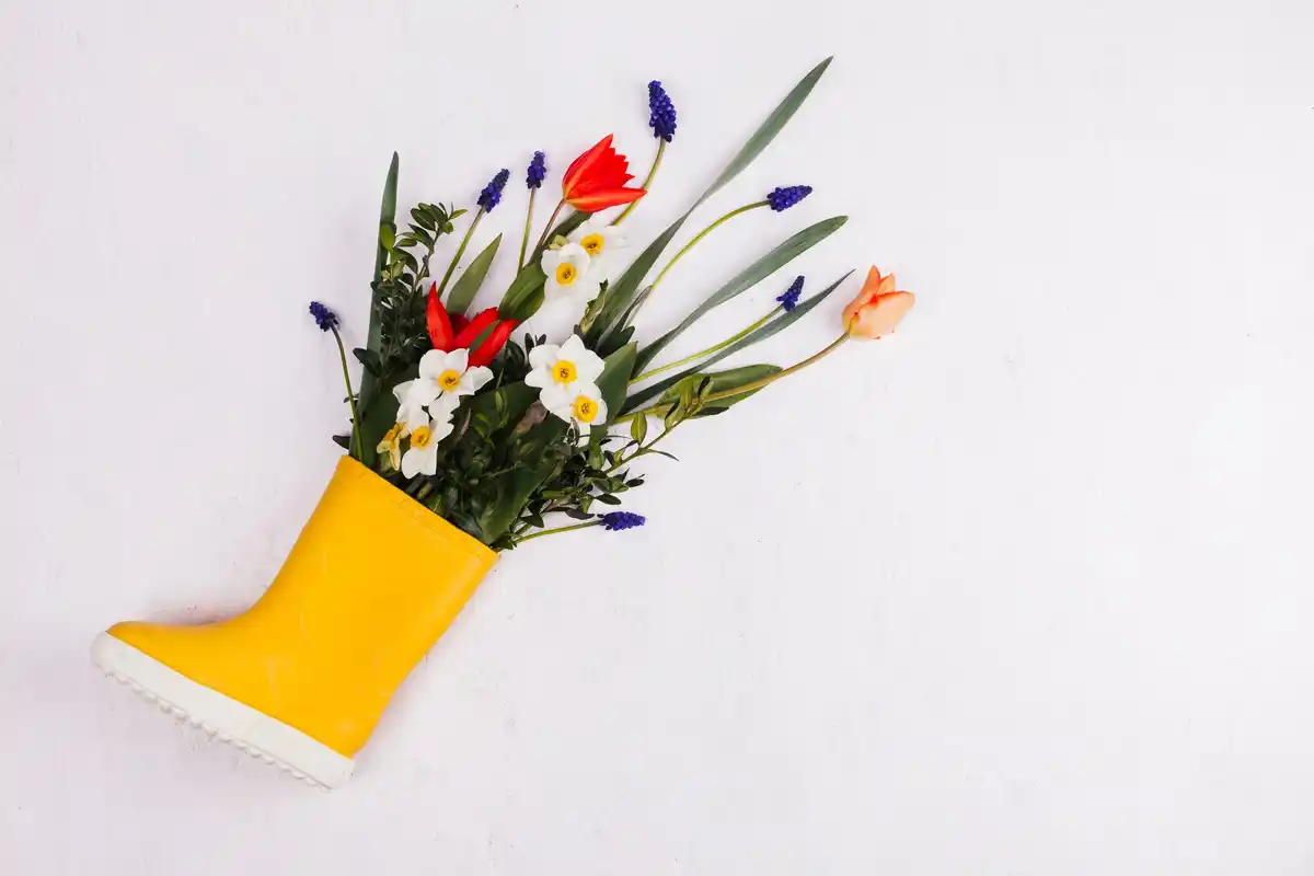 netherlands left handed life objects