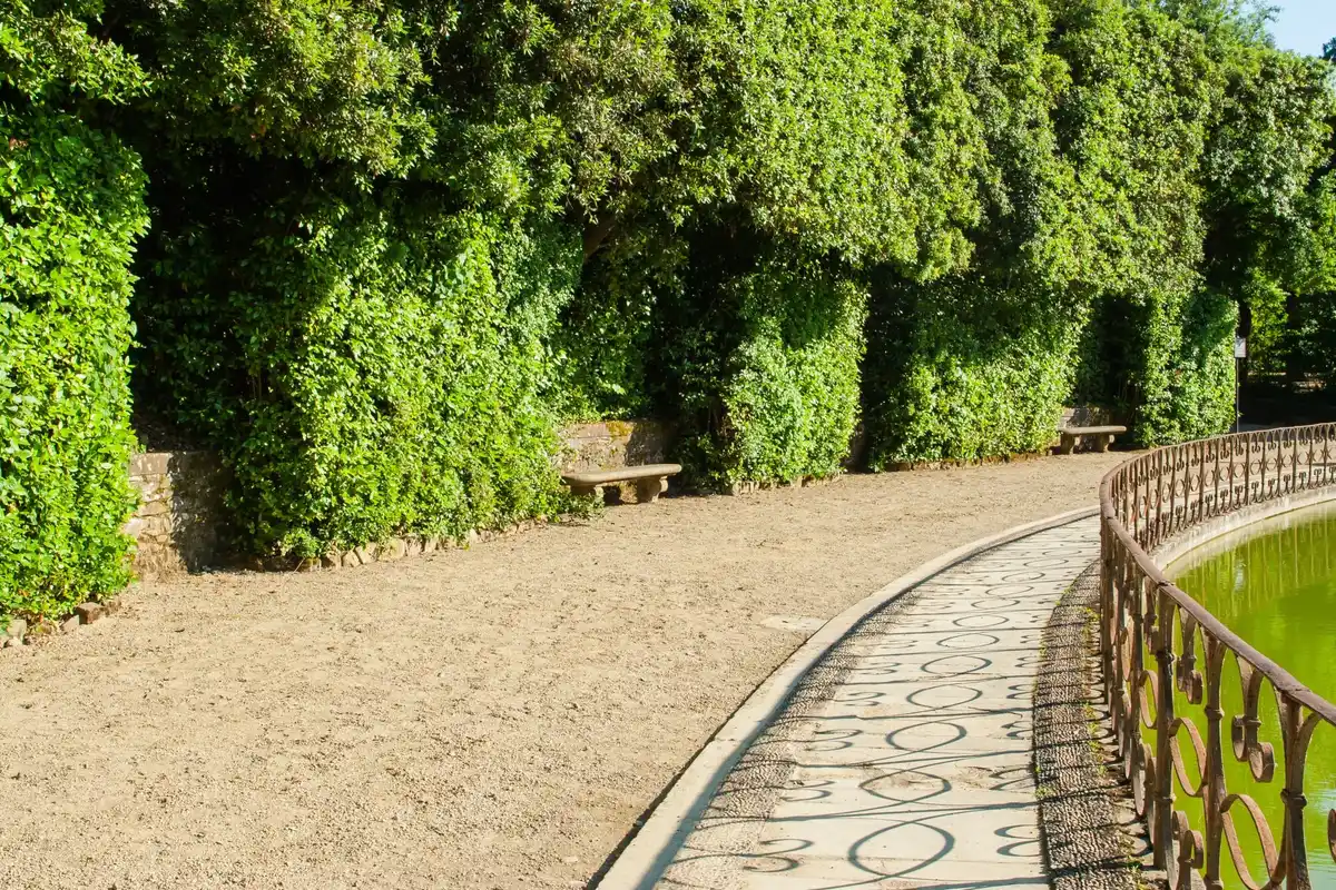 dutch garden path old tiles reuse