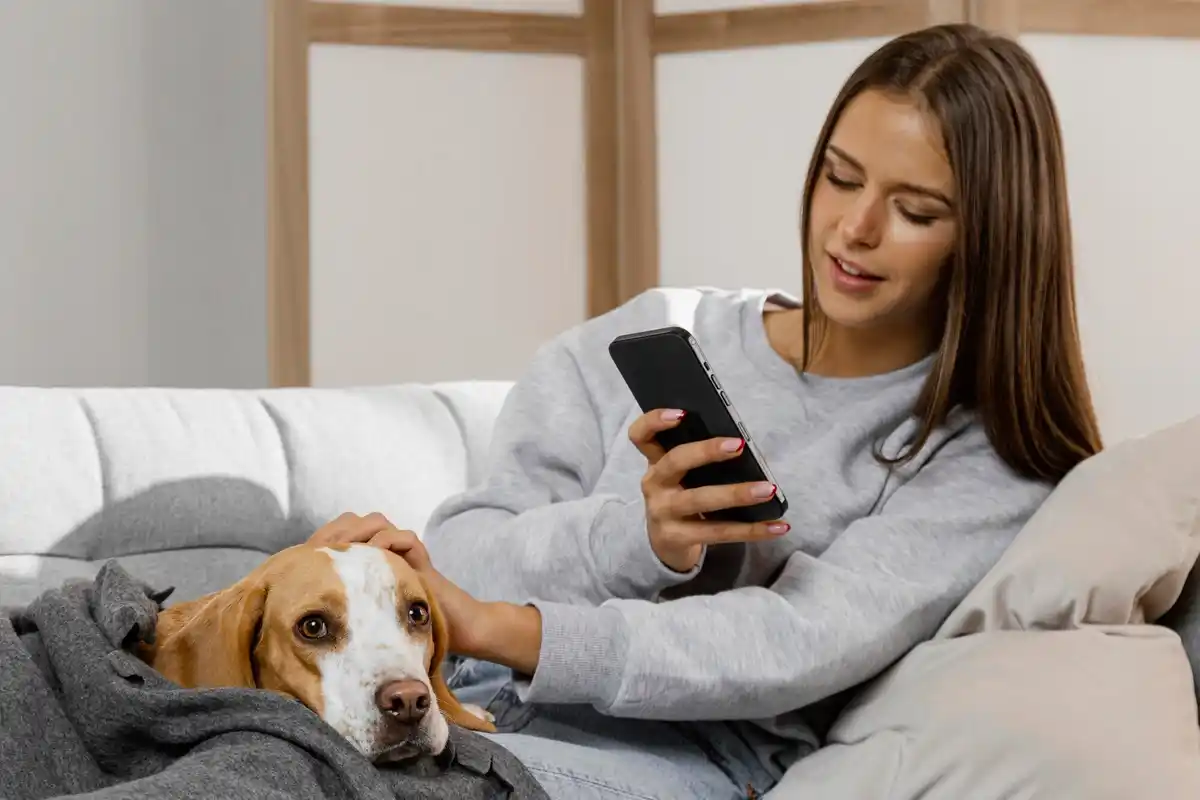 pet showing signs of illness at home