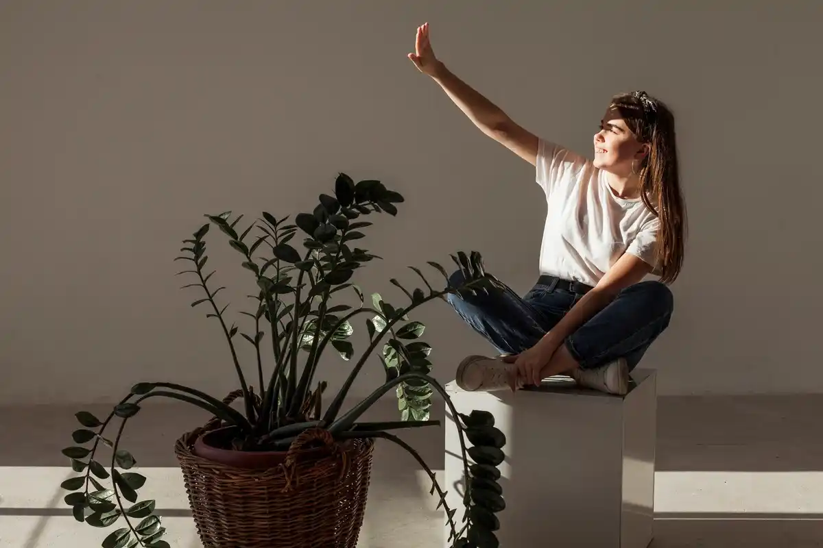 biophilic home design with natural light and plants
