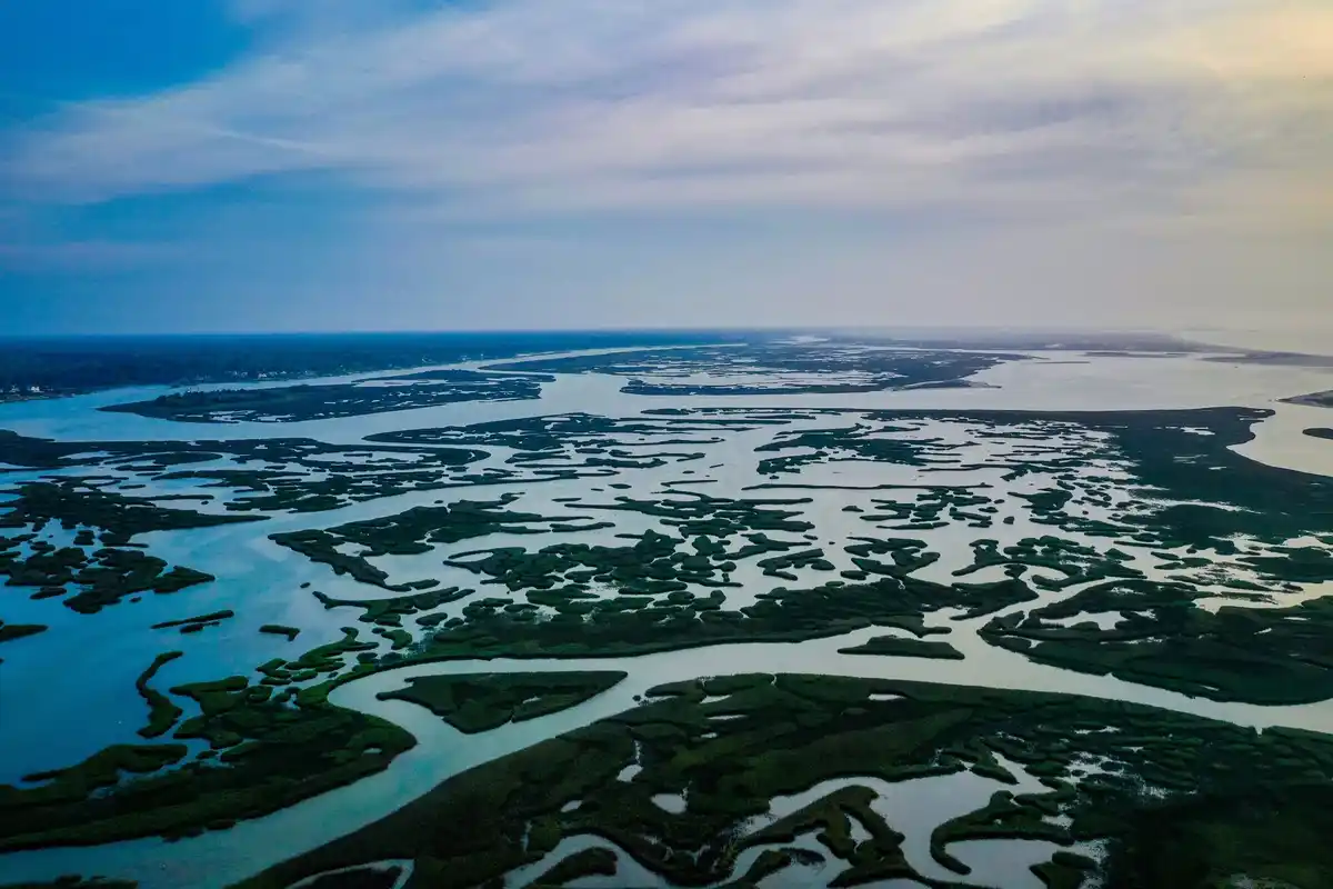 drifting peat lake netherlands aerial floating