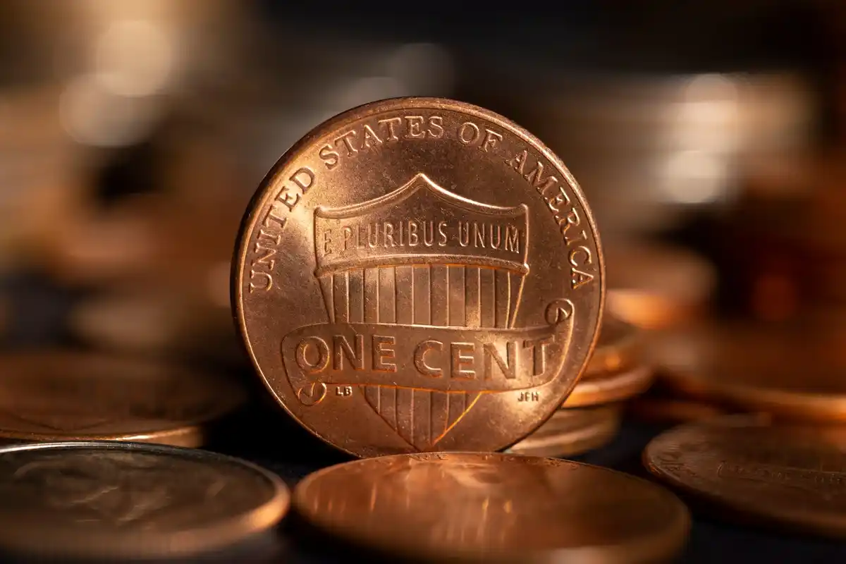 rare Dutch coins close-up macro value