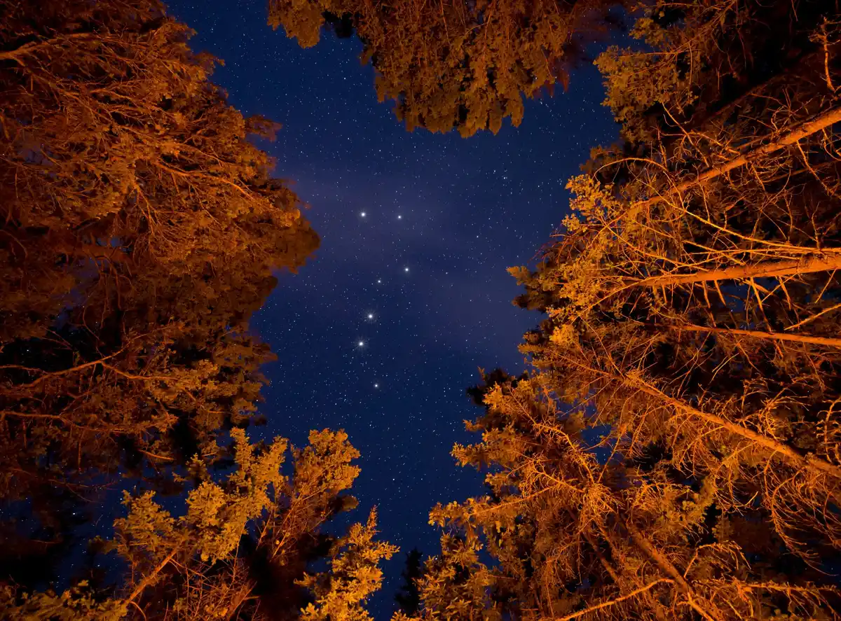 twinkling stars viewed through telescope night netherlands