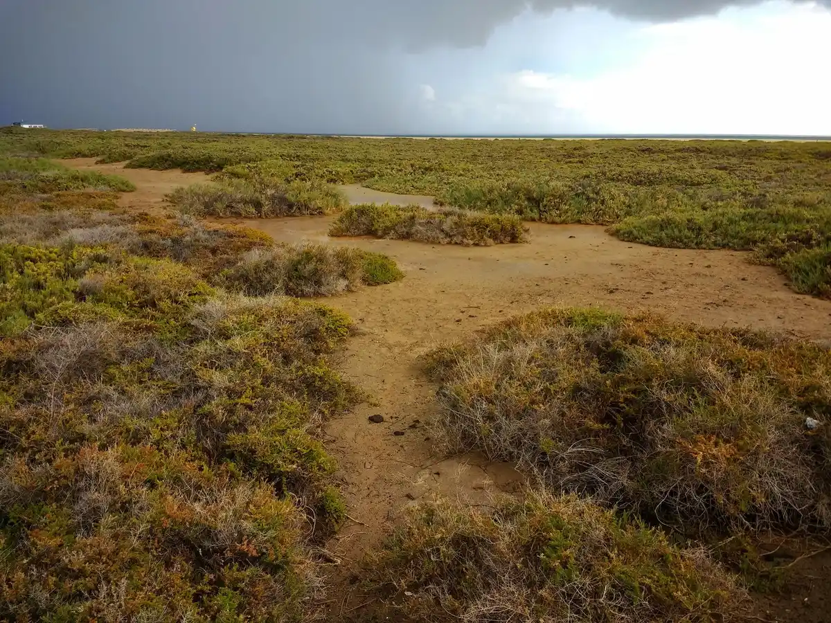 ground penetrating radar archeology netherlands