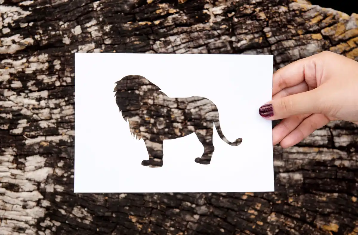 mirror self-recognition test elephant
