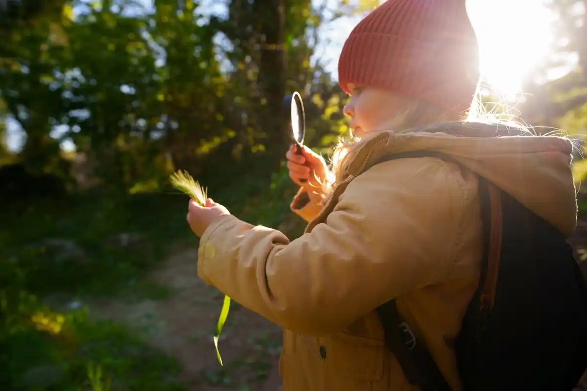 dutch forest with lost hiker and compass
