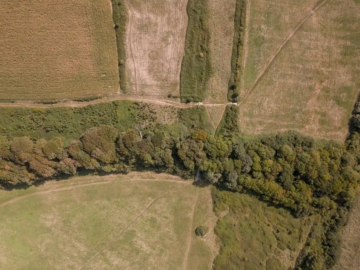dutch artificial landscape aerial flat polder horizon