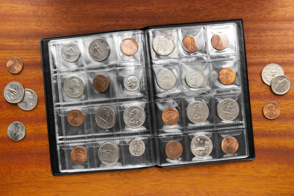 rare dutch coins collector collection