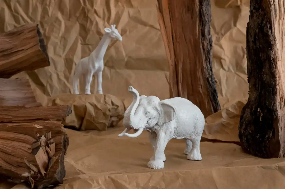 long-living animals not giant not small unique