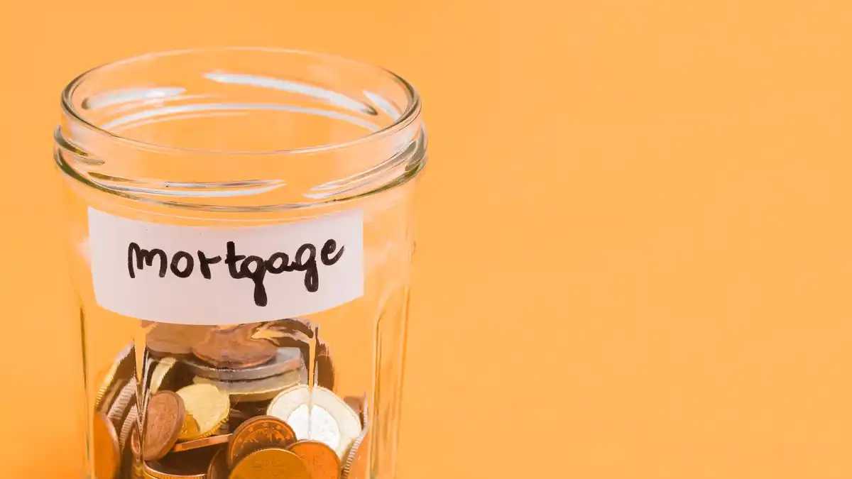 dutch coin valuation at home table