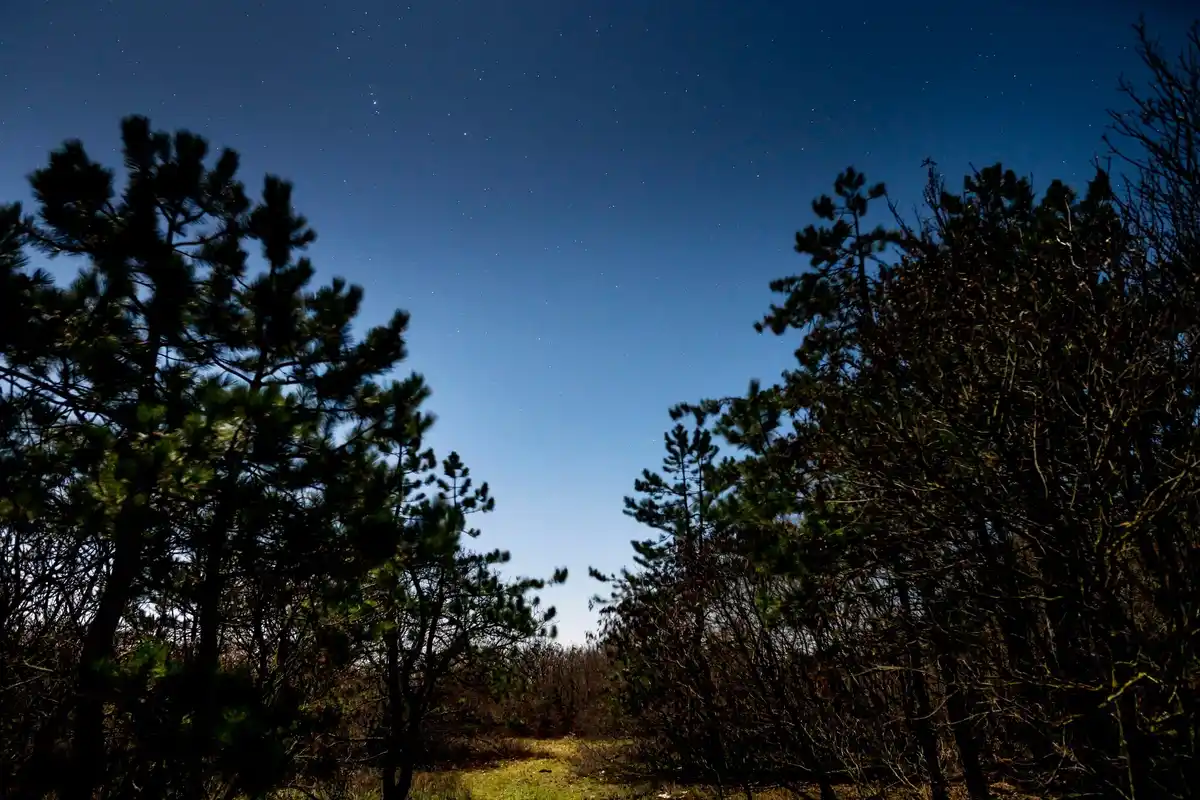 naked eye stargazing in the Netherlands night sky