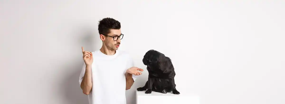 cat dog intelligence funny