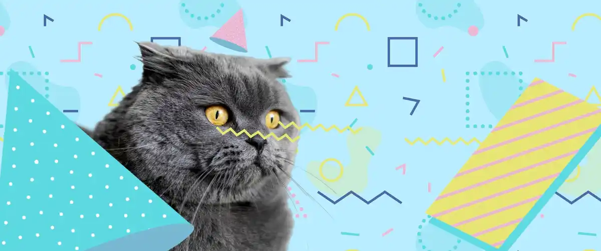clever cat with scientific background