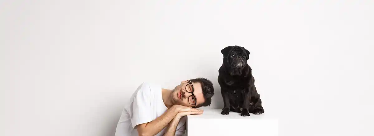 dog and cat together, thinking, funny concept