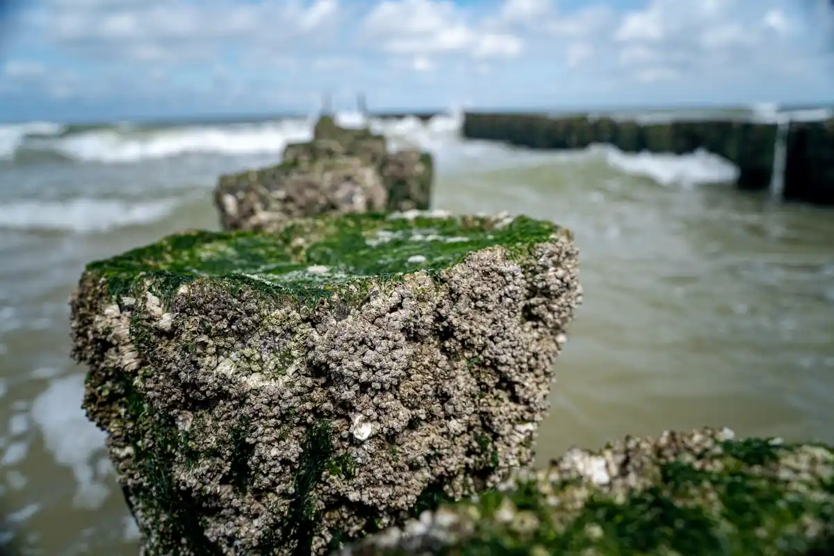 Dutch Wadden island eroding coastline
