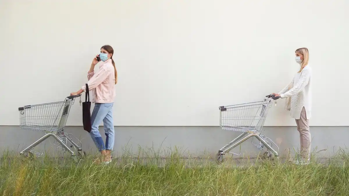 bee extinction concept Dutch supermarket empty