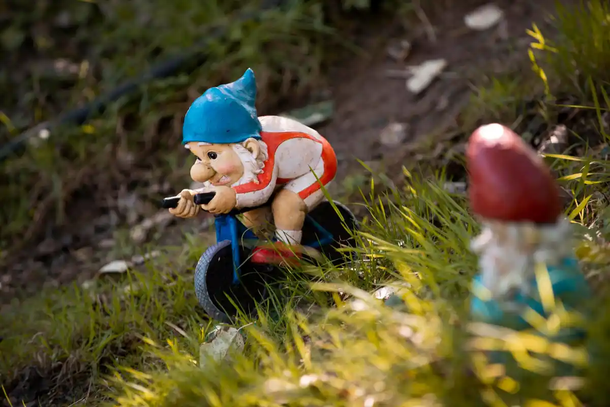 dutch backyard archaeological find