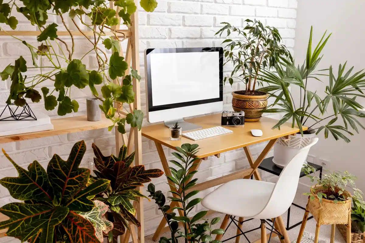 dutch home office workspace sunlight plant