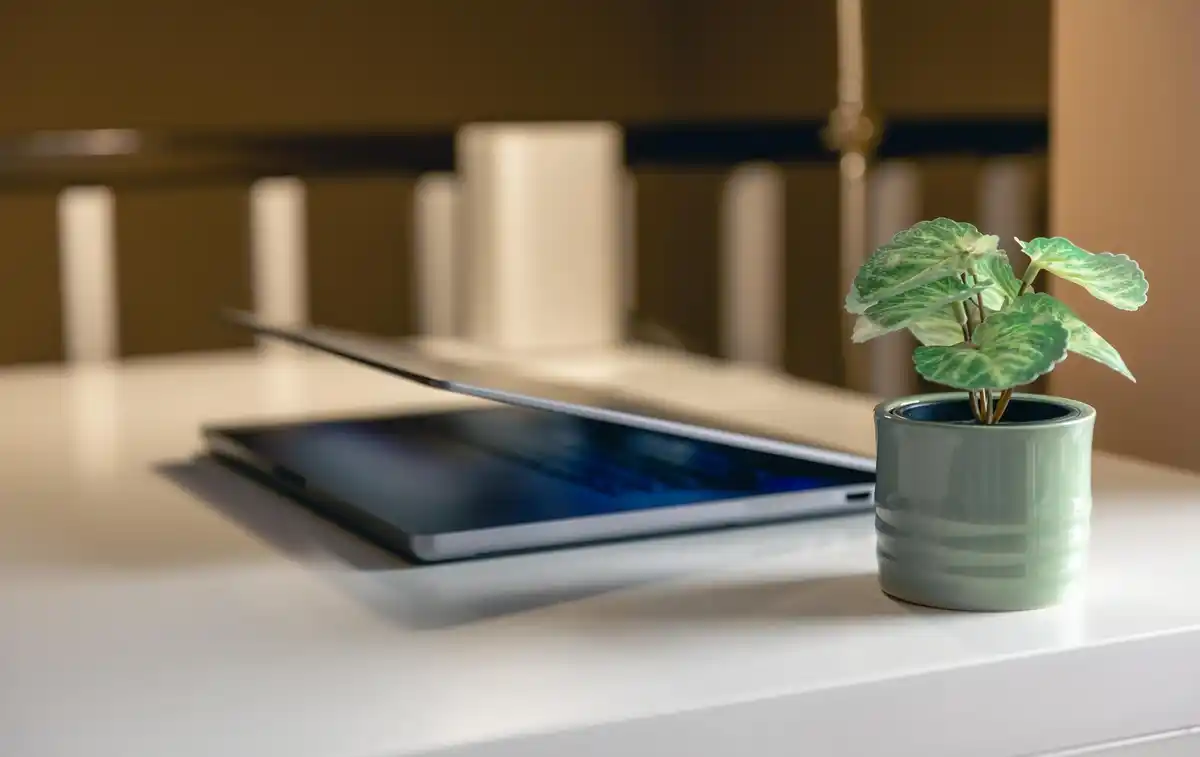 laptop feng shui workplace window sunlight plant dutch style