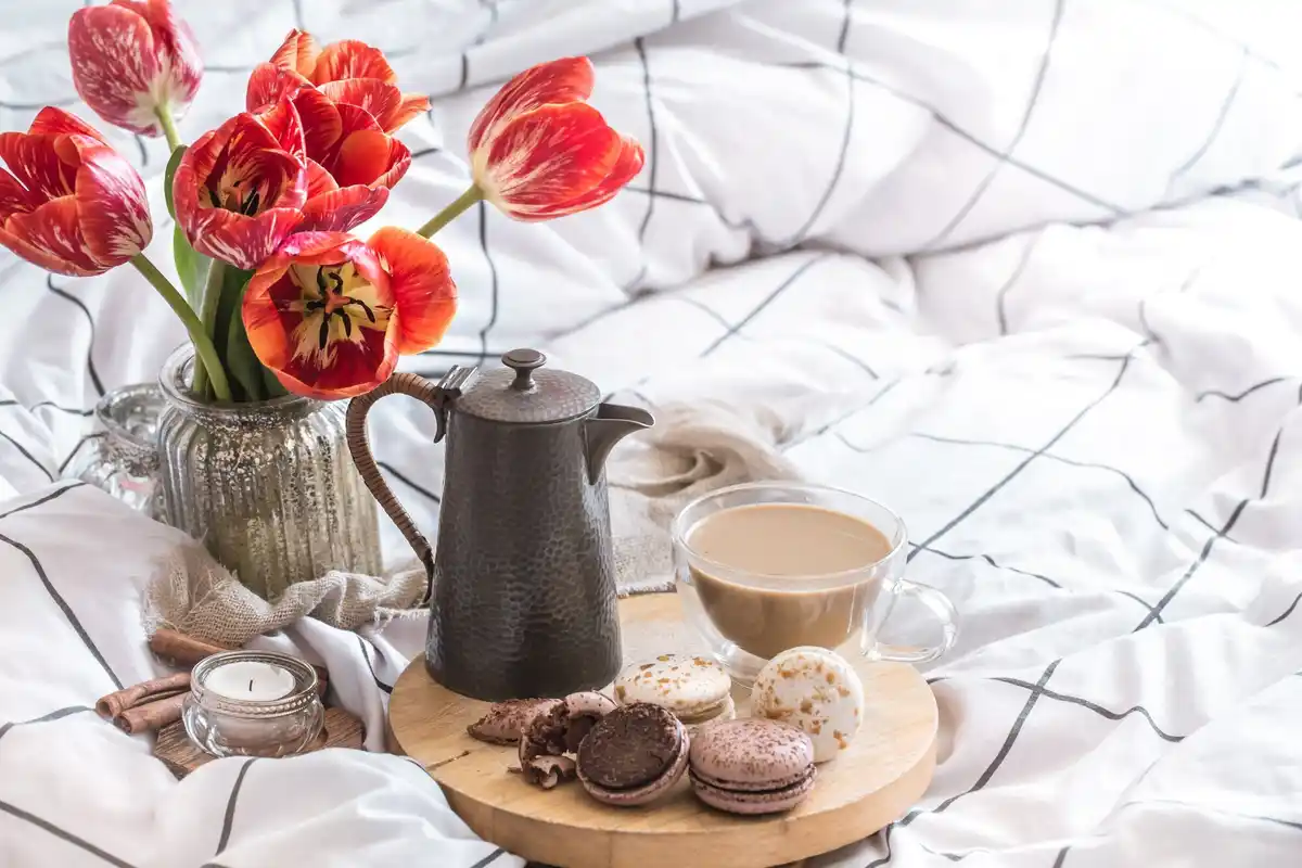 dutch morning beverage healthy trend