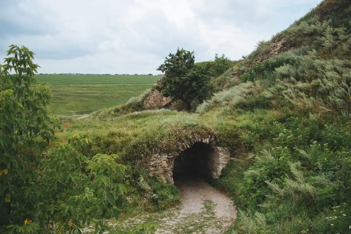 unexpected archaeological find Netherlands village
