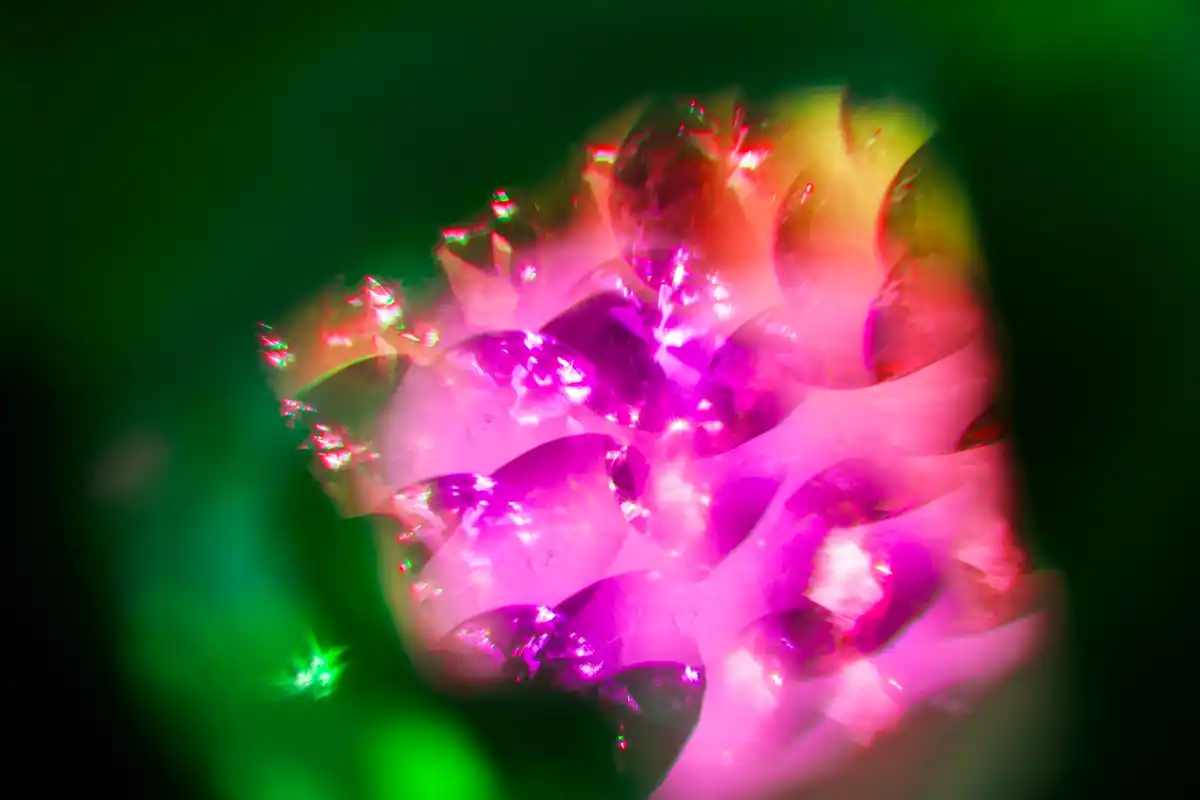 magical energy Dutch nature