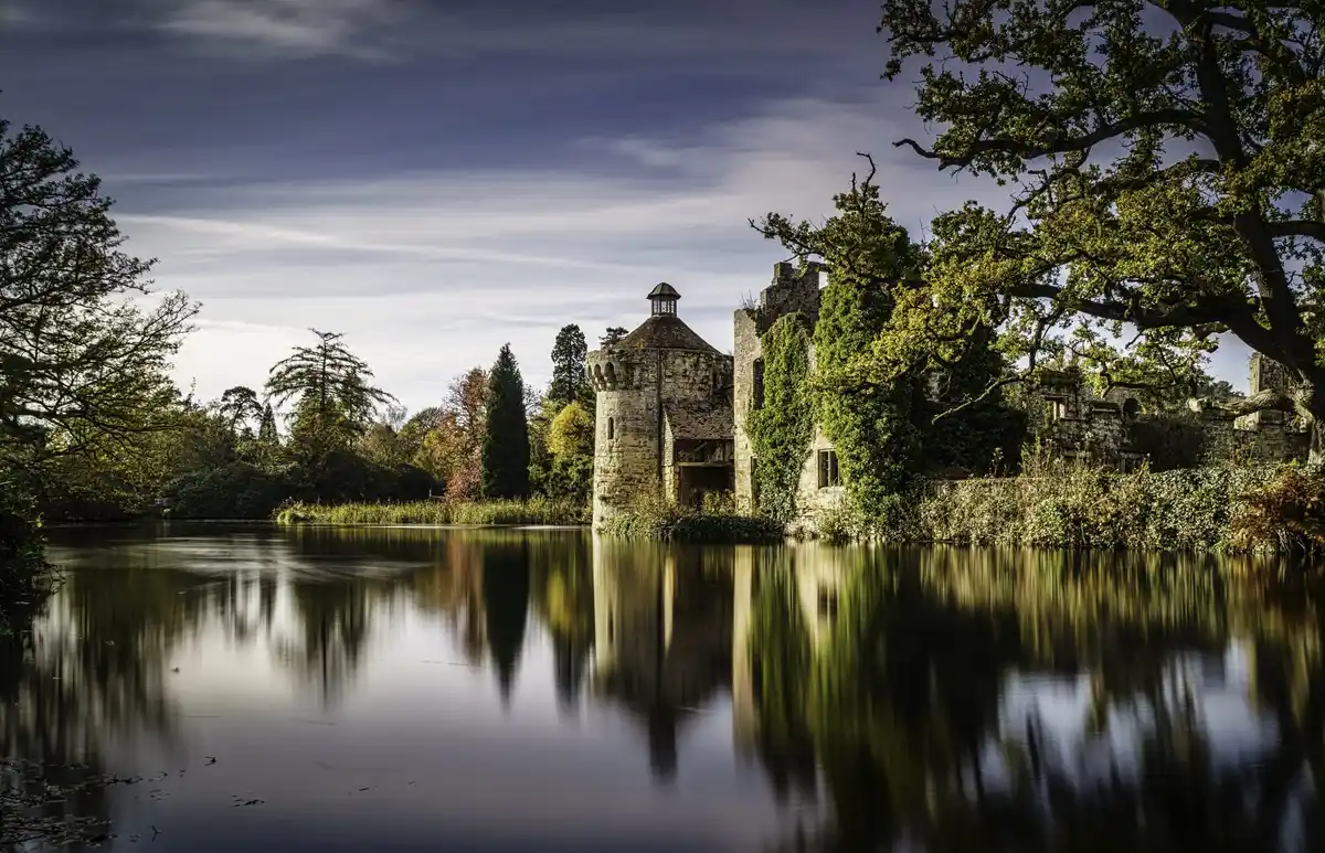 mystical energy place netherlands forest