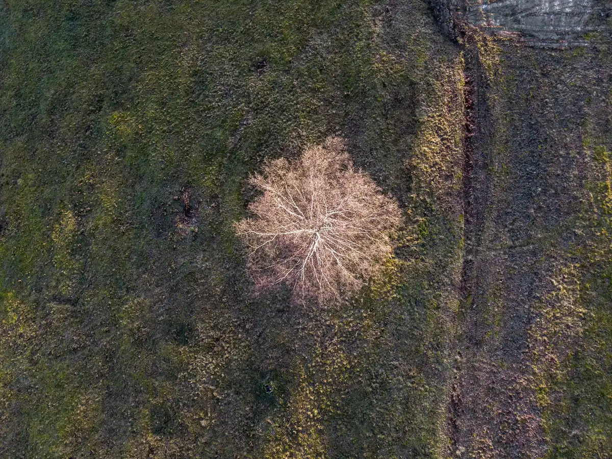 prehistoric burial mounds Netherlands drone