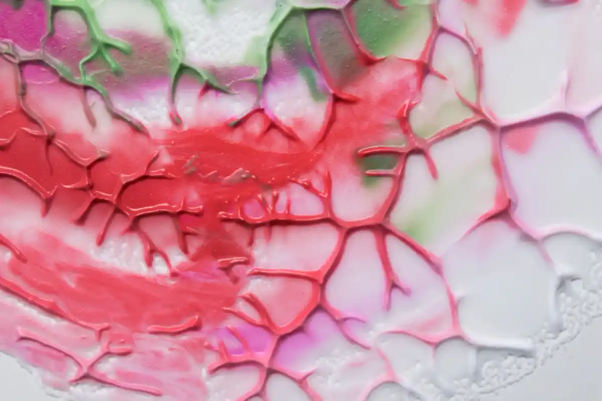 microscopic close-up of human skin regeneration process