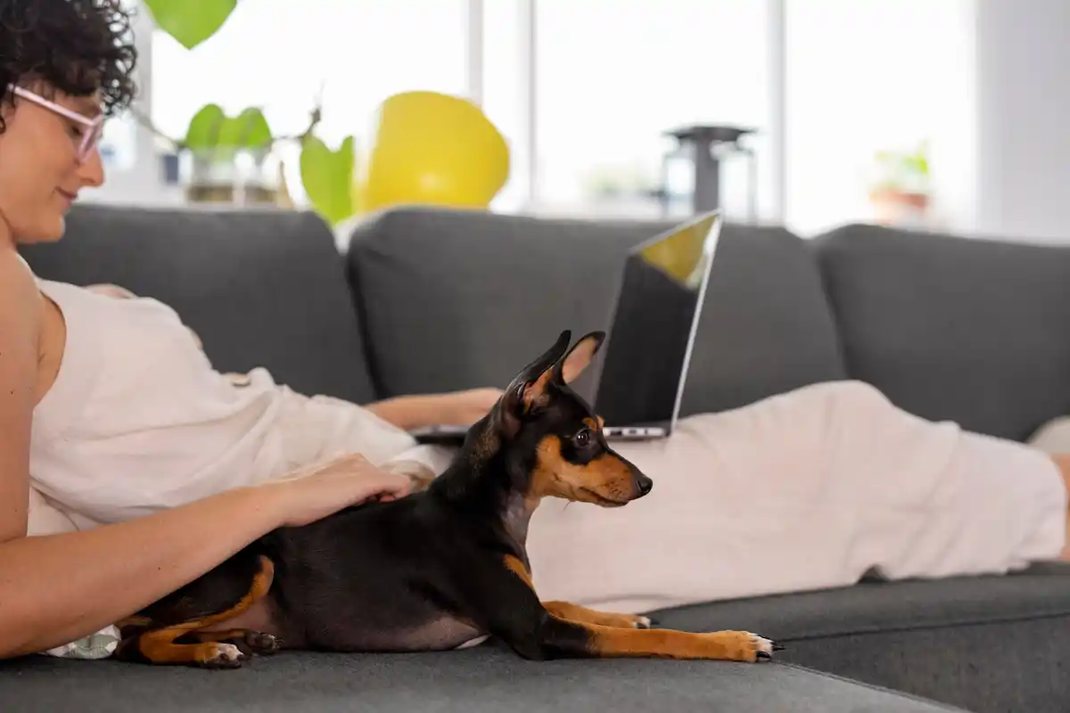 dog recognizing artificial intelligence voice assistant home Netherlands