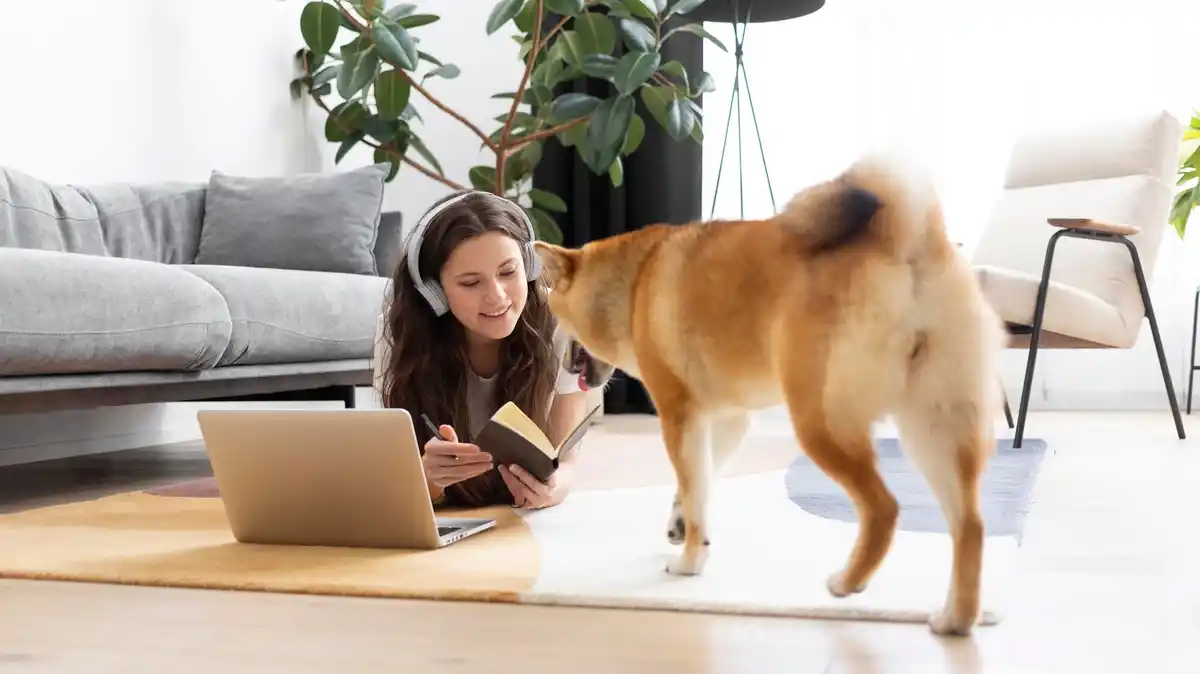 dog reacting to digital assistant in living room Netherlands