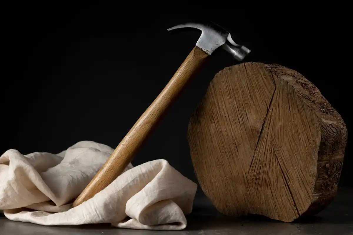 prehistoric wooden tools netherlands