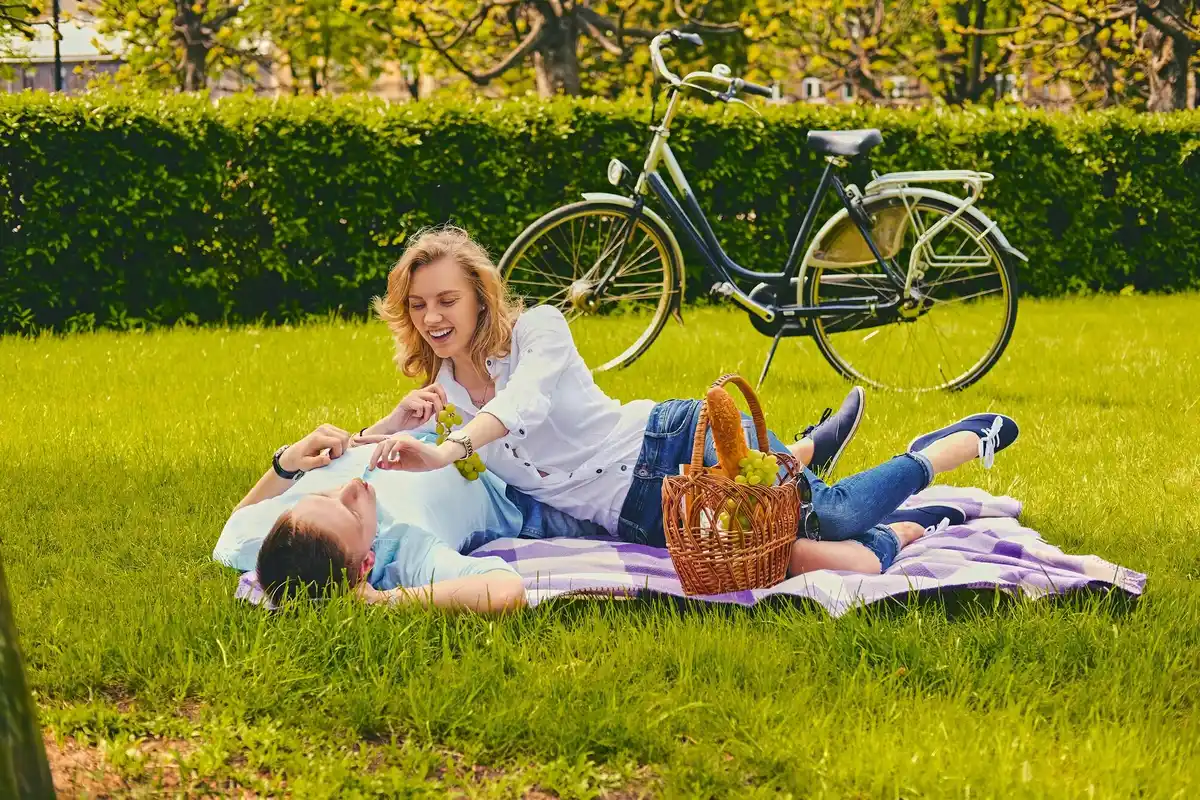 netherlands locals secret picnic spot