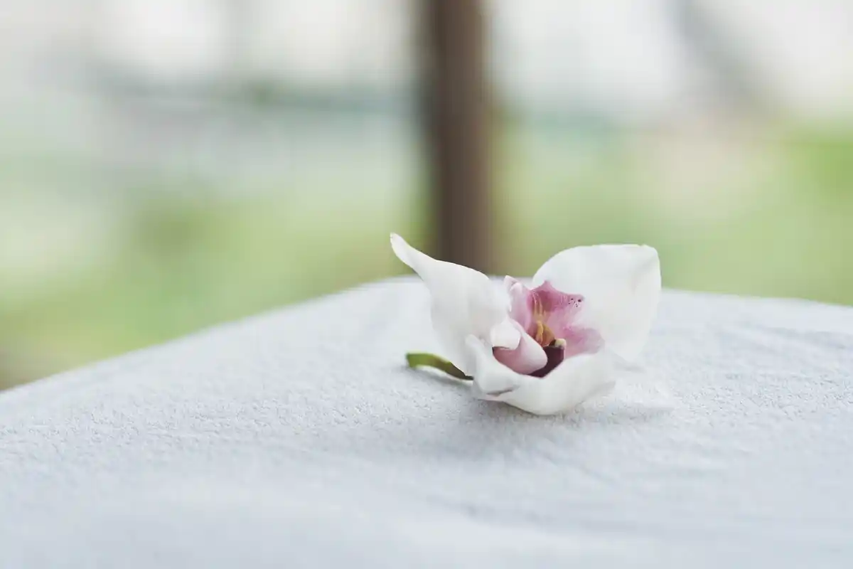 asian white flowers funeral meaning