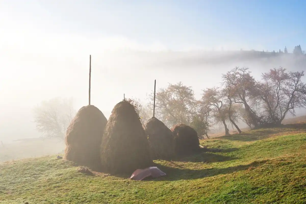 Maasai traditional hut kraal sunrise
