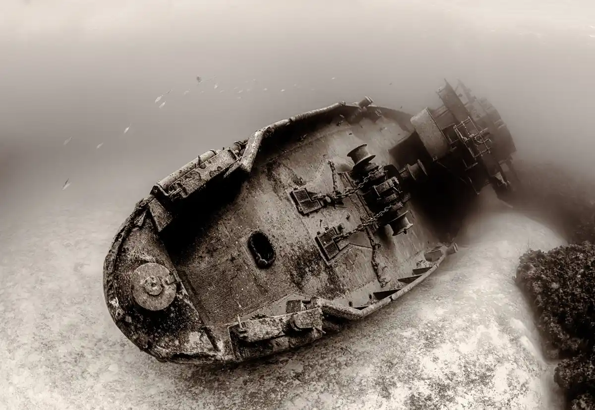 Dutch shipwreck museum artifact