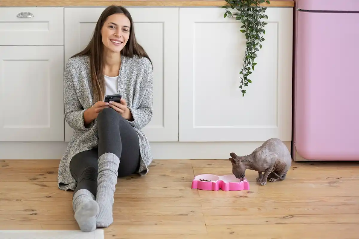 scared cat and robot vacuum in modern Dutch home