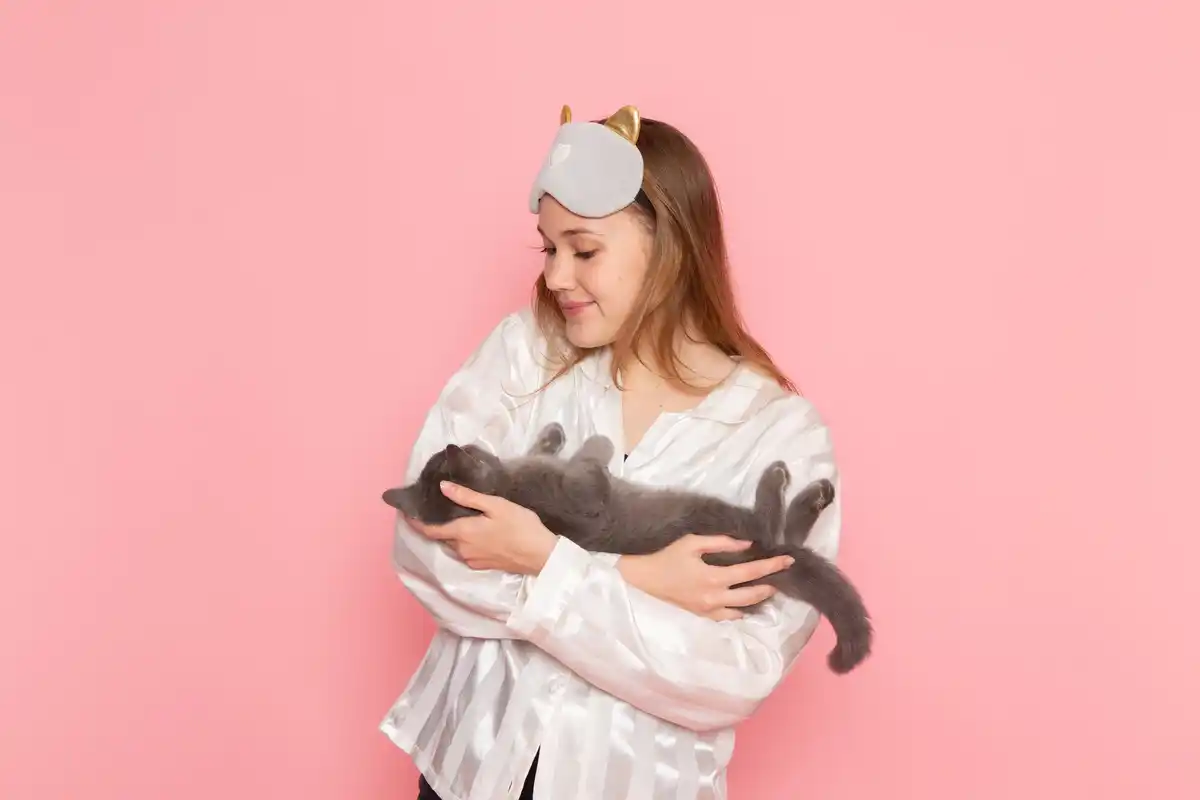 cat hiding robot vacuum stress home cat owner