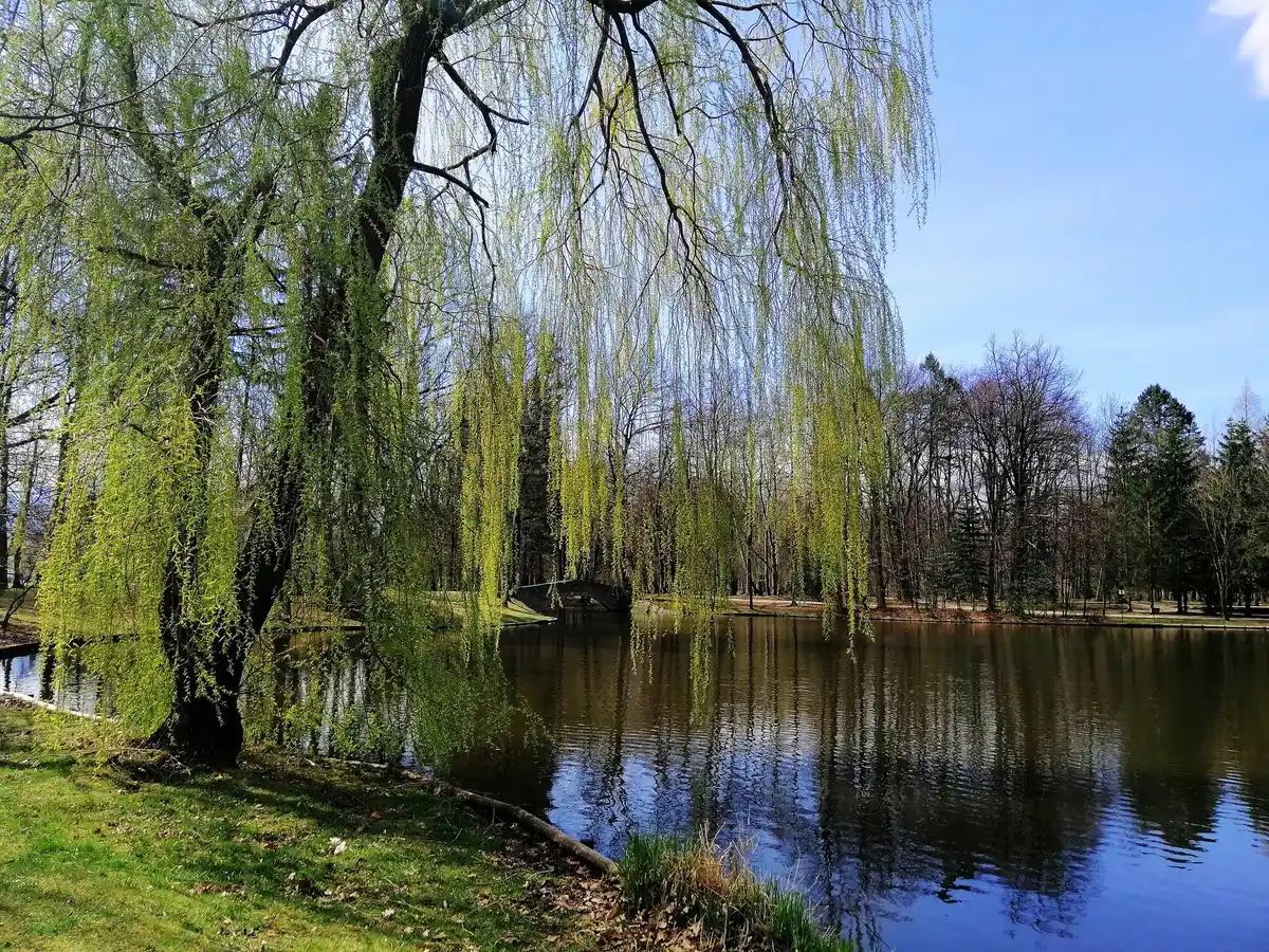 hidden natural paradise netherlands