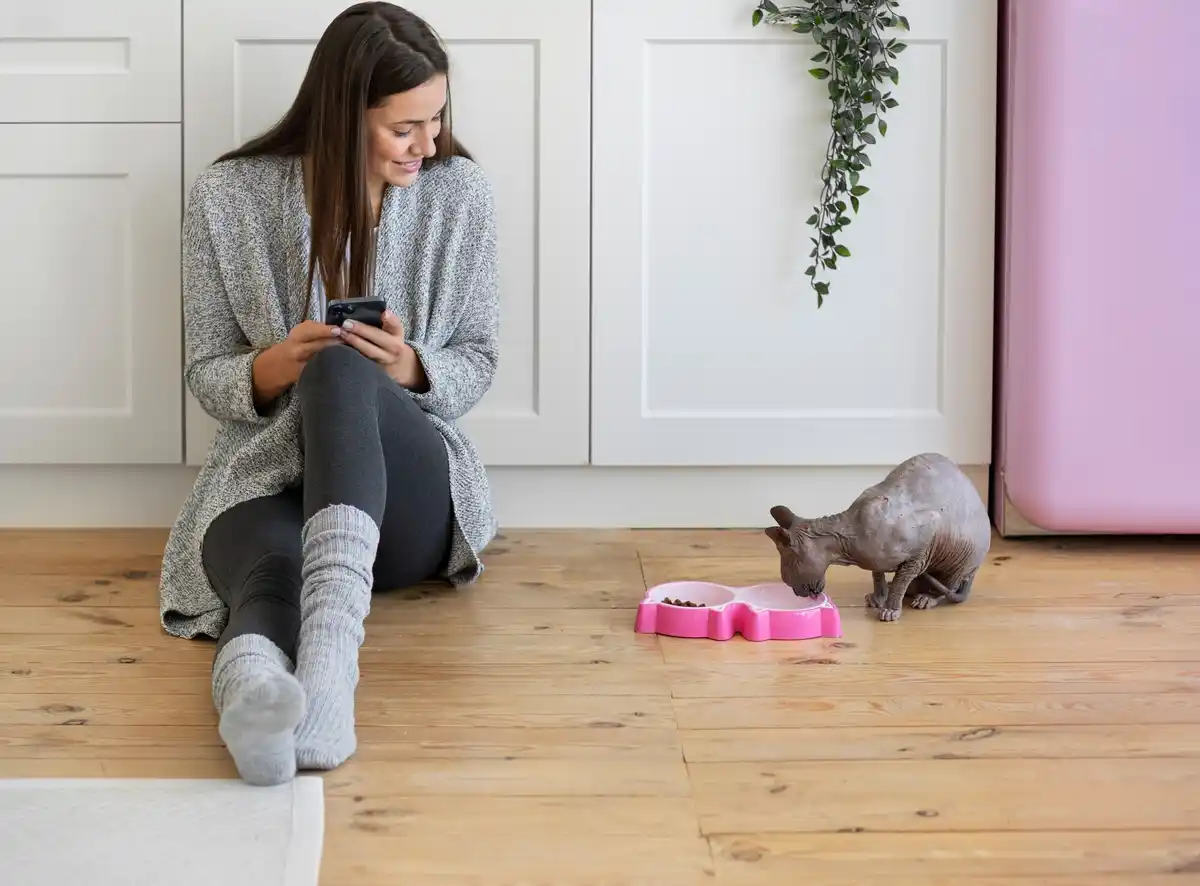 trendy guinea pig pet in modern Dutch home