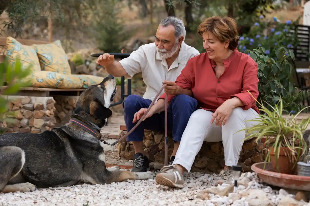 senior digging in dutch archaeological site family outdoors
