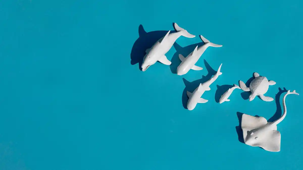 dolphin communication underwater sound waves