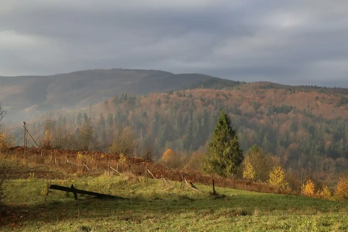 Posbank sunrise mystical hills energy dutch nature
