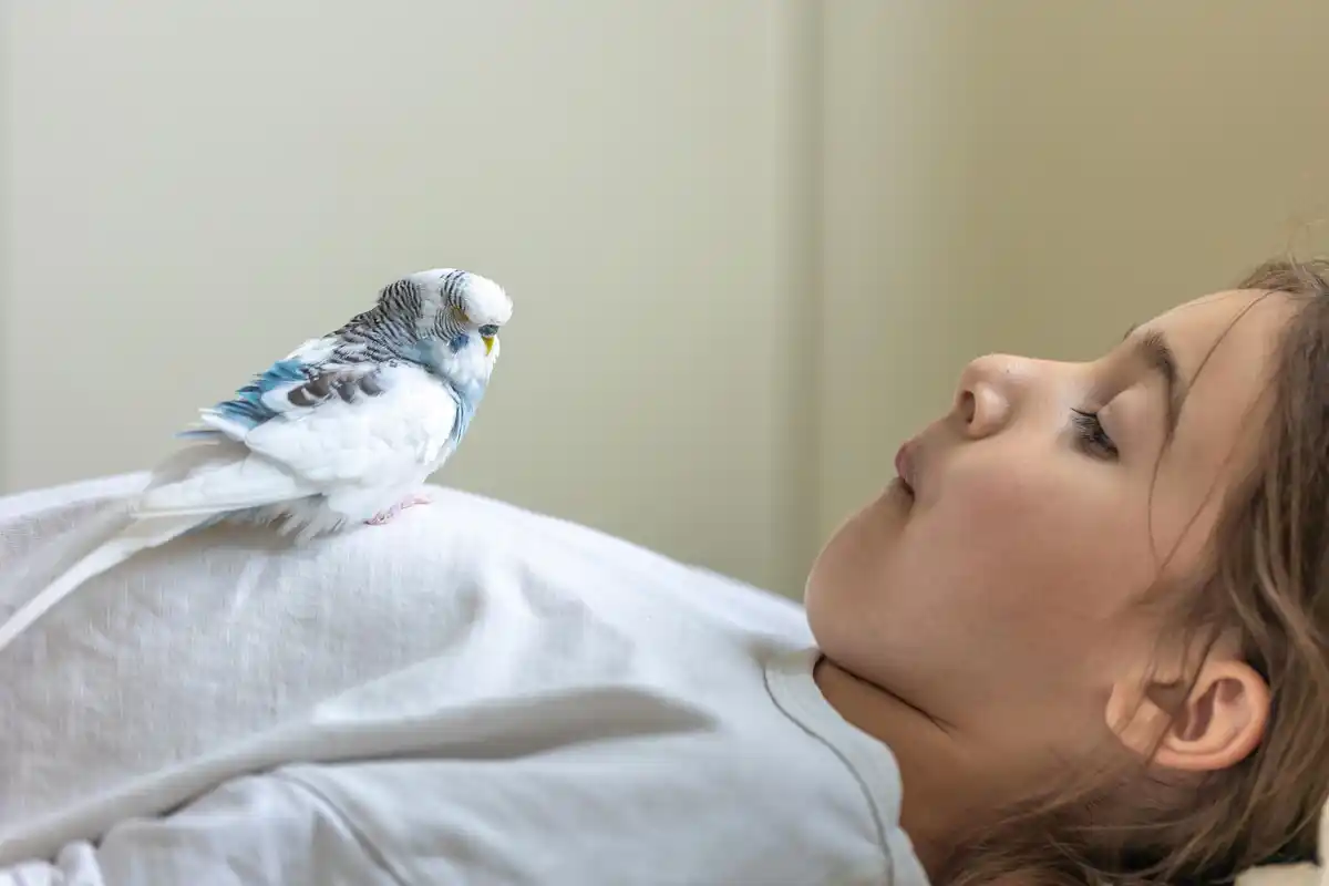 clever bird outsmarts child