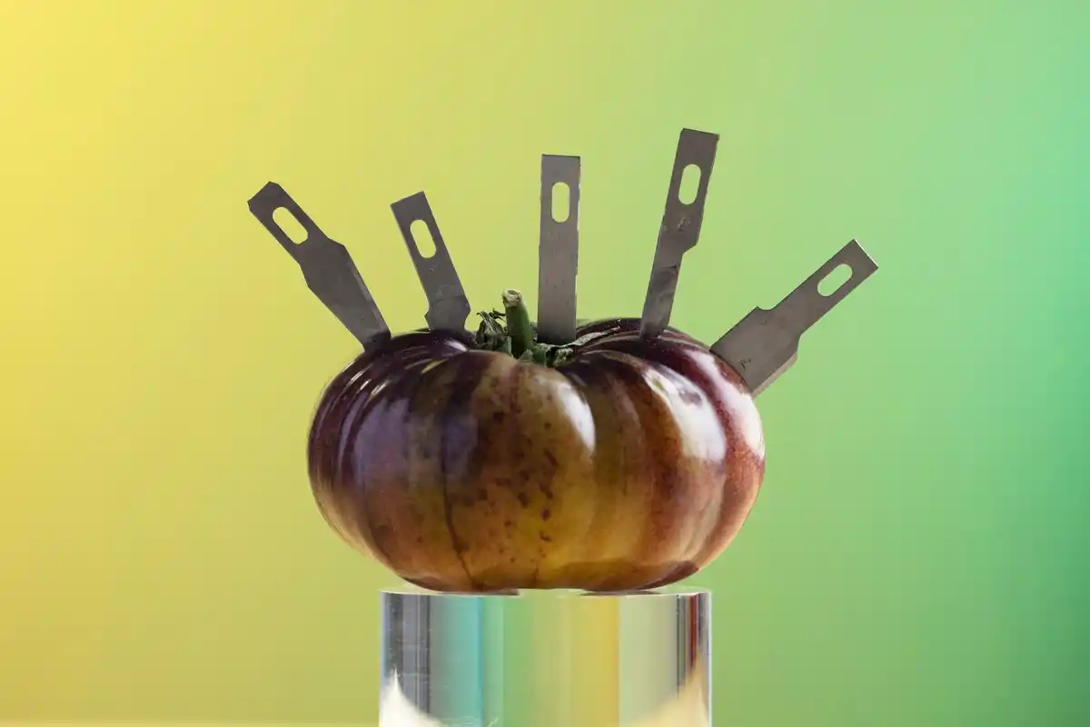 roman fork invention history