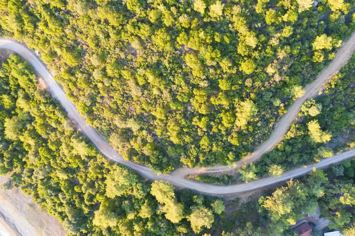 roman road aerial view nature