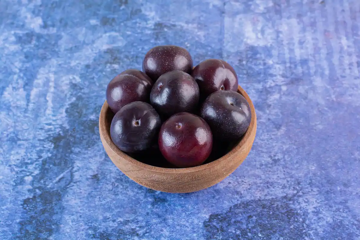 Jabuticaba tree close-up fruit healthy Brazil